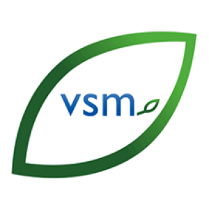 VSM